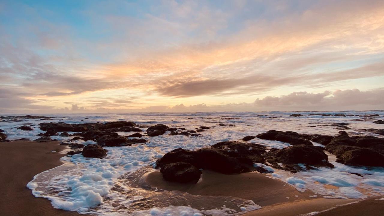Seahorse Oceanfront Lodging Линкольн-Сити Экстерьер фото